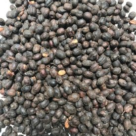 Rwenzori Natural | Green Organic | Arabica Coffee