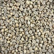 Rwenzori Washed | Green Organic | Arabica Coffee