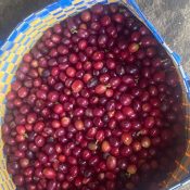 WhatsApp Image 2025-10-28 at 22.24.10(1)