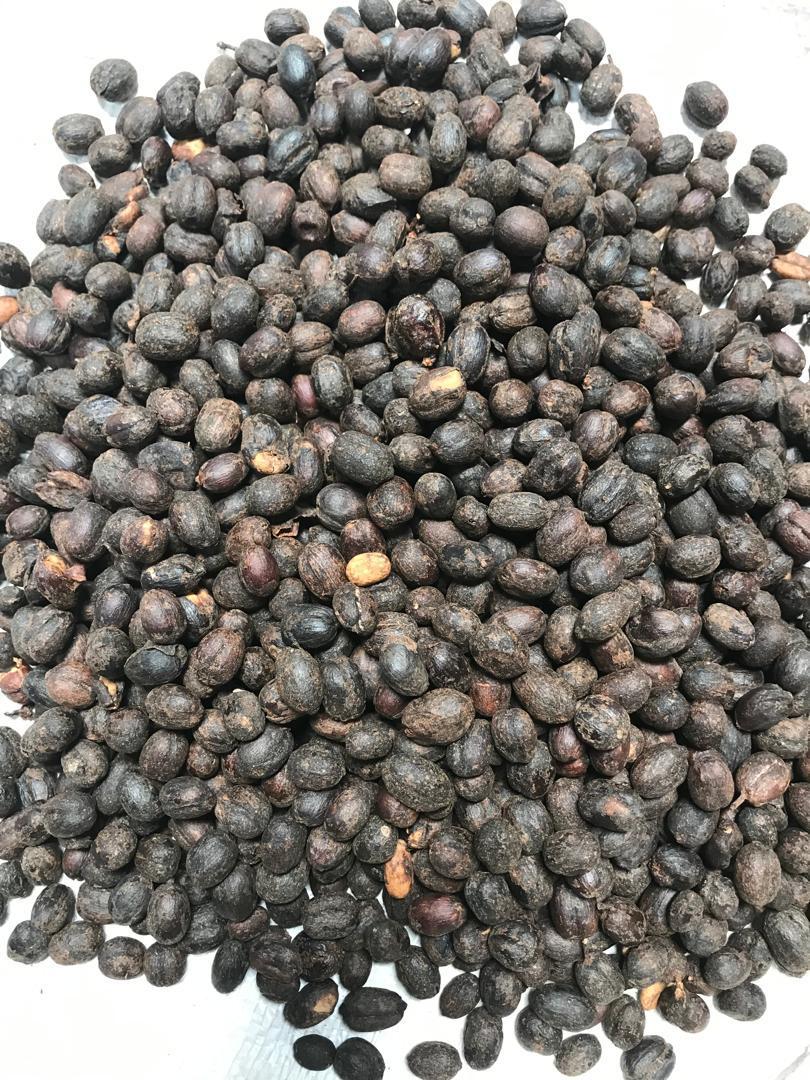 Rwenzori Natural | Green Organic | Arabica Coffee