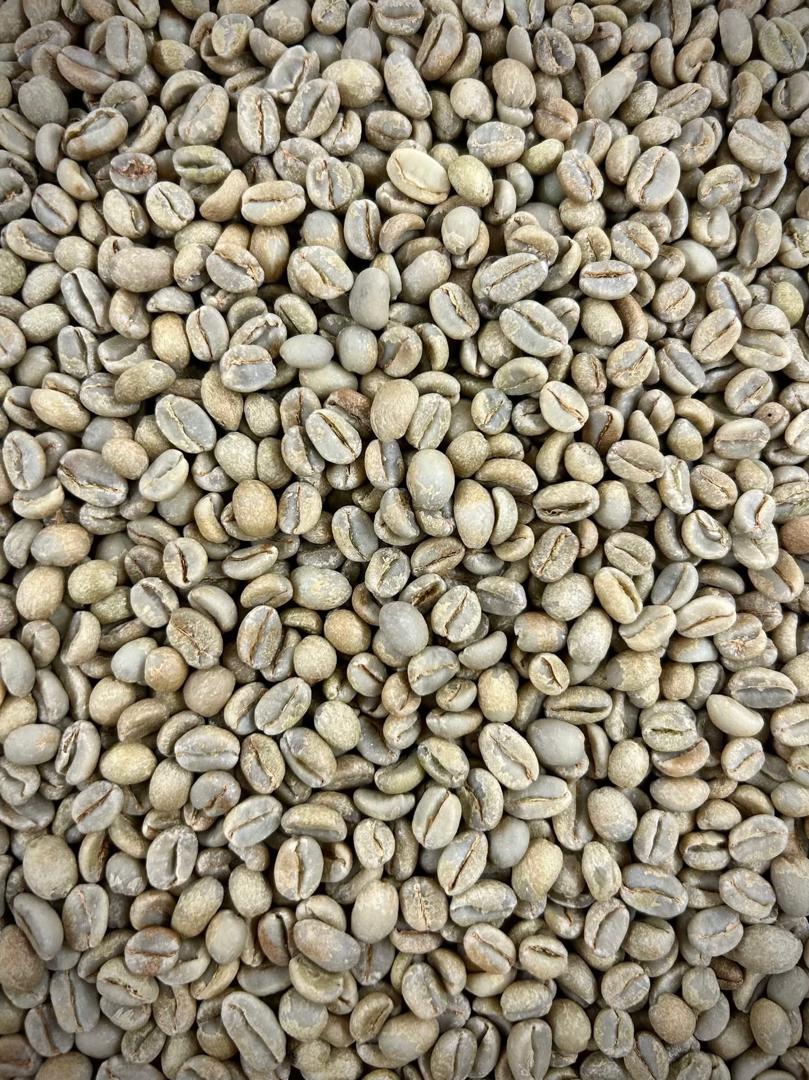 Rwenzori Washed | Green Organic | Arabica Coffee