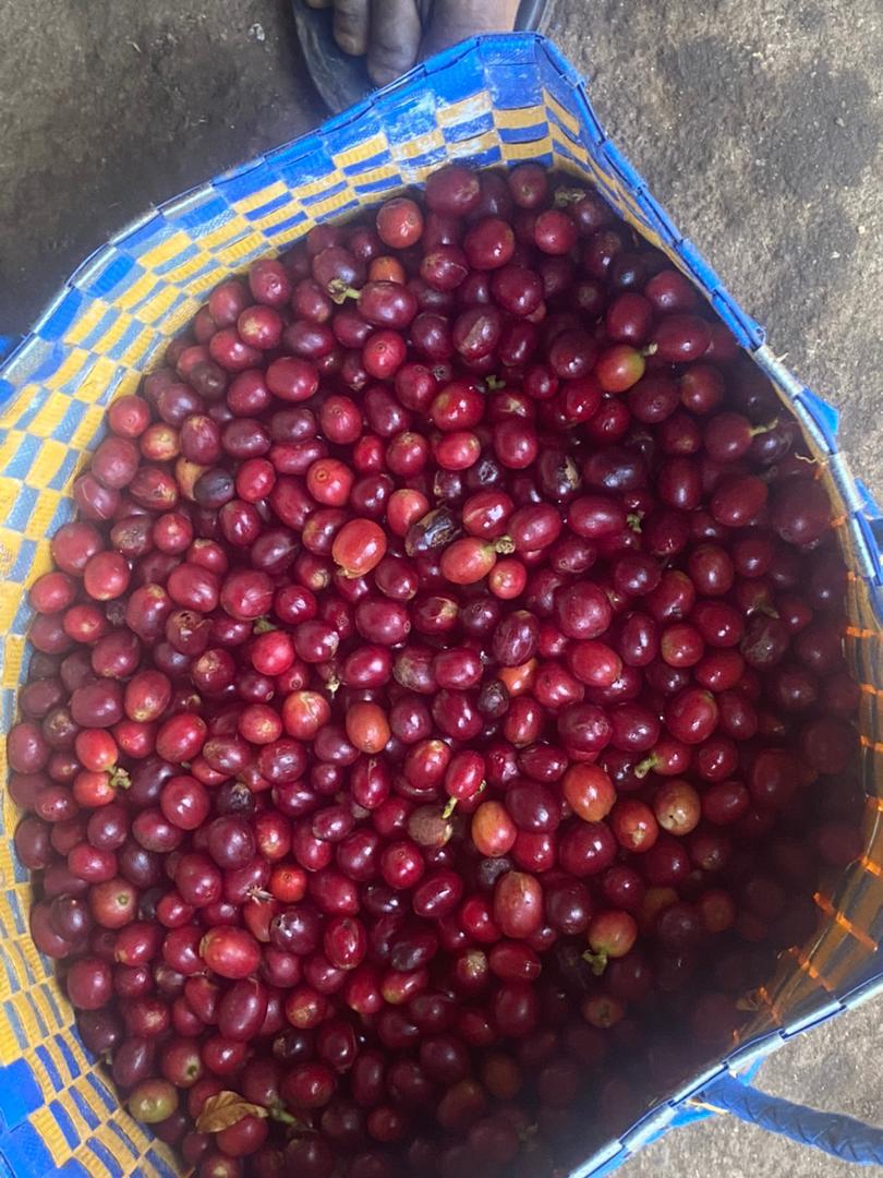 WhatsApp Image 2025-10-28 at 22.24.10(1)